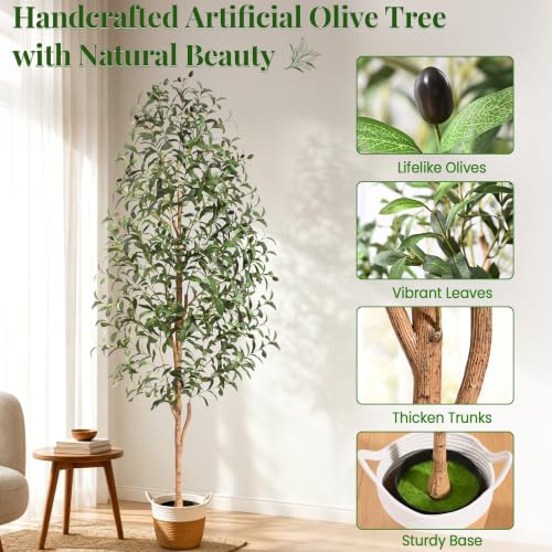 Artificial Olive Tree Indoor with Planter & Basket - 6 FT Green Variation
