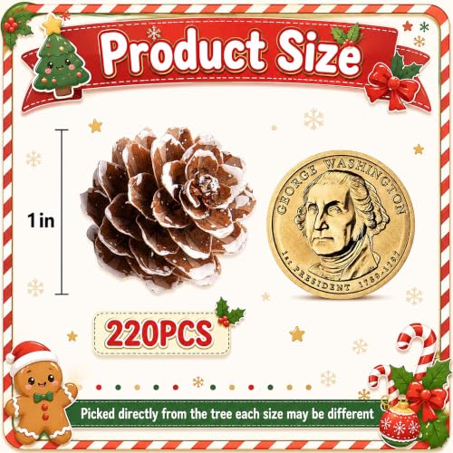Snow 220 Pcs Christmas Mini Pine Cones Natural Snow Effect Decor - Small Xmas Craft Supplies