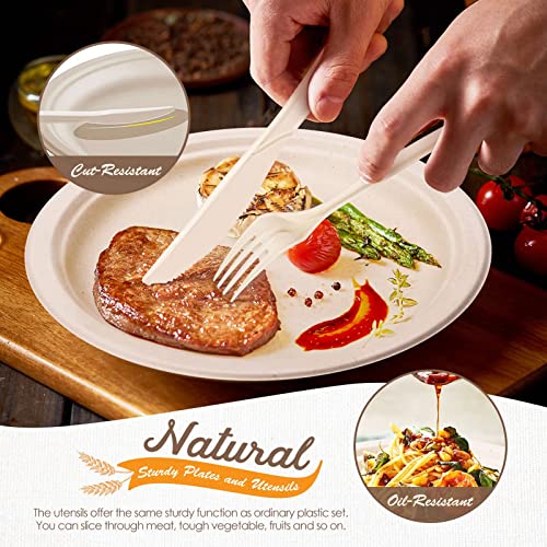 Heavy-Duty Compostable Plates Set - 350 Pieces Brown Dinnerware Utensils