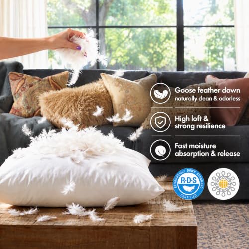 basic home® 26x26 Goose Feather Down Euro Pillow Insert - Odorless Plush Cushion
