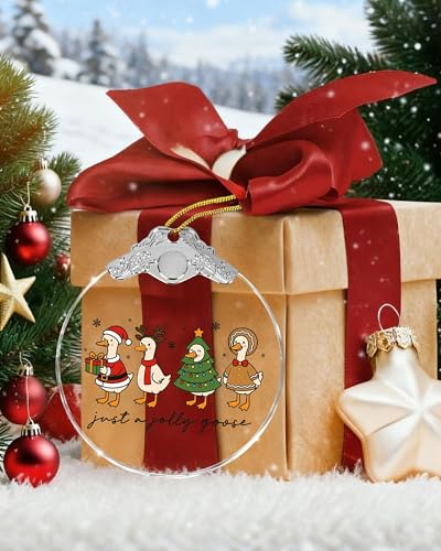 Mvxopqu Funny Goose Ornament 2025 for Christmas Tree - Duck Keepsake Gift for Goose Lovers, Women & Girls, One Size
