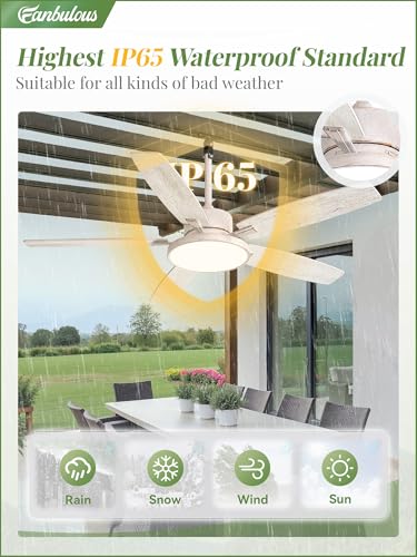 52-Inch Outdoor Ceiling Fan with Light IP65 Waterproof for Patio - White Gold, Standard