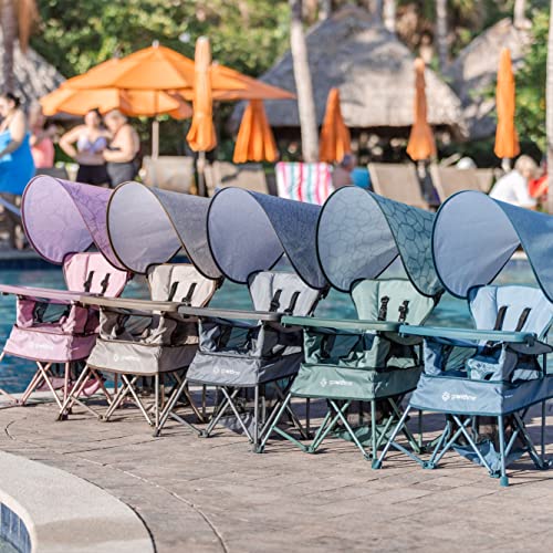Baby Delight Go With Me Venture Portable Toddler Chair with Sun Canopy - Blue Wave
