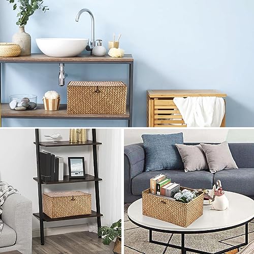 Hipiwe Wicker Shelf Baskets Bin with Lid Woven Storage Box, Coffee