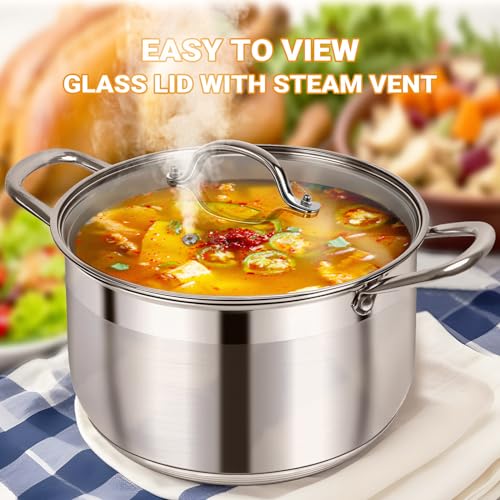 Kirecoo 12 Quart Stainless Steel Heavy Duty Stock Pot with Visible Lid