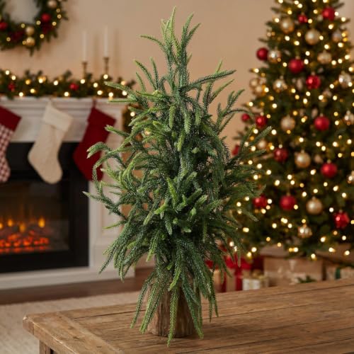 2ft Premium Artificial Norfolk Pine Tree with Realistic Wood Pot - Holiday & Indoor Decor