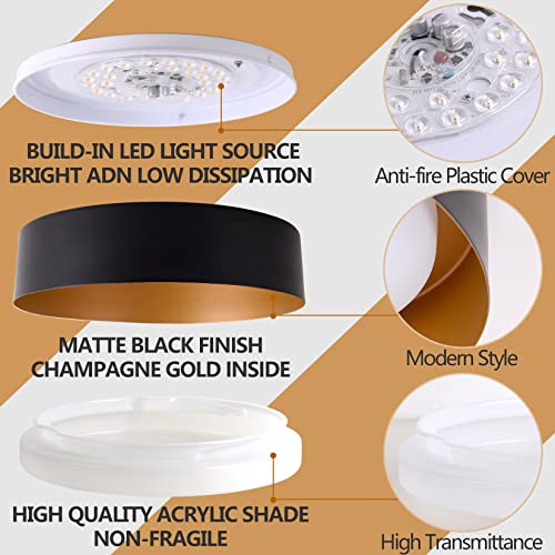Bargeni Matte Black & Gold 12.5-Inch Flush Mount Ceiling Light - 1 Pack