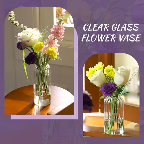 Glass Cylinder Vases Set - Clear Ribbed Tall Flower Bud Vases for Weddings & Home Decor