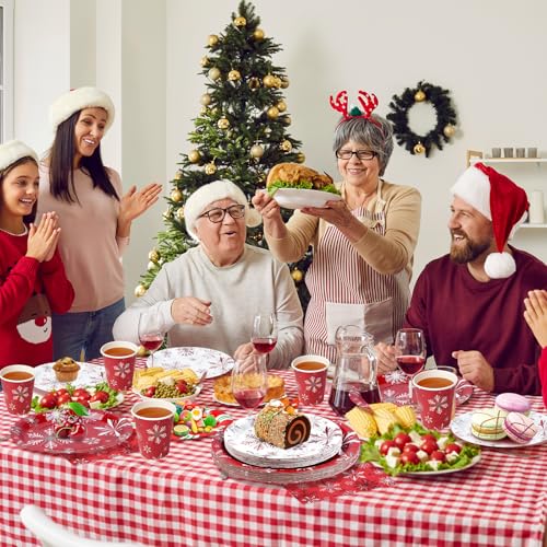 Christmas Holiday Snowflake Paper Plates and Napkins Serve 50,