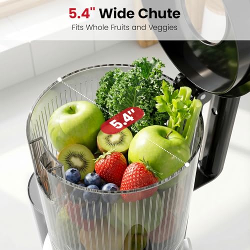 LAUDLIFE Cold Press Juicer Machines, 5.4" Wide Chute Slow Masticating