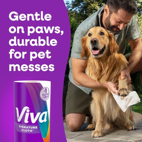 12 Pack Viva Signature Cloth Paper Towels - 141 Sheets per Roll, Family Triple Rolls