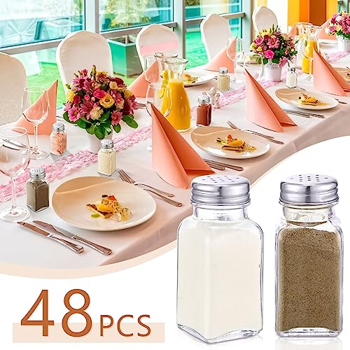 Glass Salt and Pepper Shakers Set - Silver, 2.7oz, Classic Design, 48 Pack