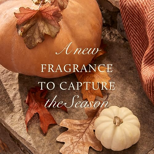 Pumpkin Laurel Scented Candle - Fall Home Decor with Creamy Pumpkin & Spices - 6.5 oz Burnt Orange Glass