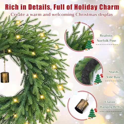 2 Pcs 24 Inch Christmas Wreath with Lights for Front Door (2 Pack) Yastouay