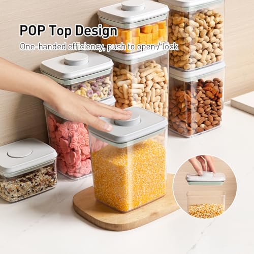 EQI 2.9Qt Food Storage Containers with Lids, 2-Pack Airtight BPA-Free Kitchen Organizer