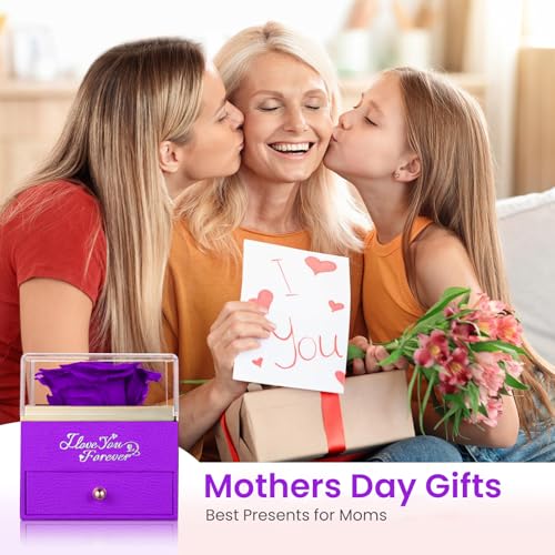 EleShow Preserved Real Rose with Heart Necklace, Eternal Flowers I