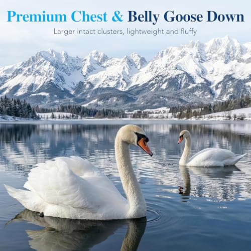 King White Goose Down Pillow 1050 Fill Power Plush Support - Variation: White / King / 1