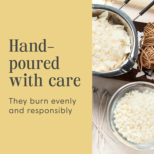Mister Candle Gold Set of 12 Pine Scented Holiday Votive Candles with Essential Oils, 15 Hr Burn Time