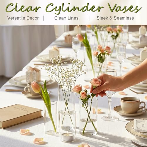 48pcs Glass Cylinder Vases Set - 4, 5, 6 Inch Clear Flower & Candle Holders with Variation 4+4+5+6 Inch