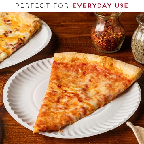9-Inch Disposable Paper Plates - Bulk Pack of 500 for Parties & Meals - Eco-Friendly Dinnerware