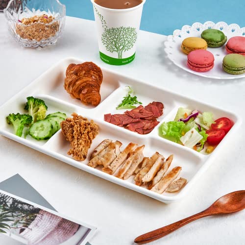 ECOLipak 12.5 x 8.6 Inch Compostable 5-Compartment Paper Plates 100 Pack
