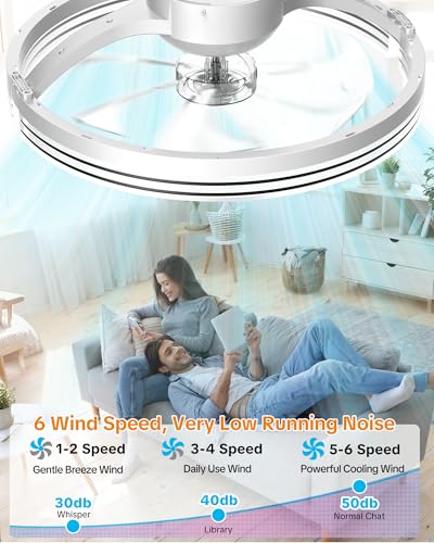 20-Inch Ceiling Fan with Lights Remote Control & App, Low Profile Fandelier