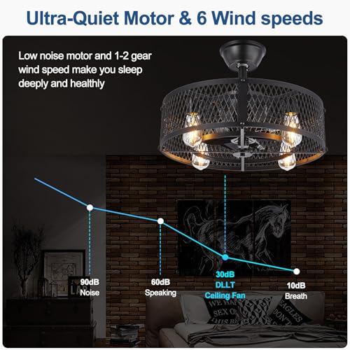 20-Inch Farmhouse Caged Ceiling Fan with Light and Remote Control - Black Rustic Style