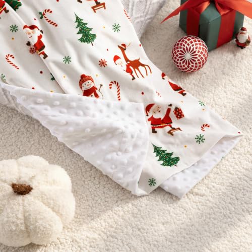 David's Kids Micro Fleece Minky Baby Blanket 30x40 Inches Christmas Edition