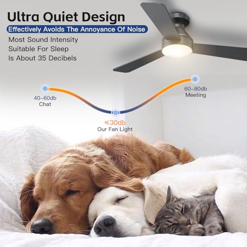 42 Inch Ceiling Fan with Lights and Remote - Black, 3 CCT, 6 Speed, Flush Mount