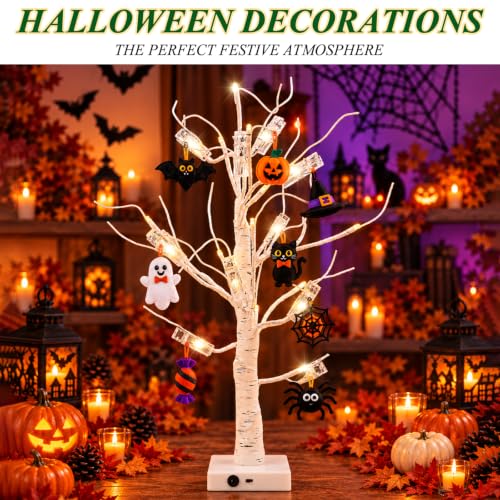 2FT White Birch Tree Gift Holder with LED Lights & Clips for Events