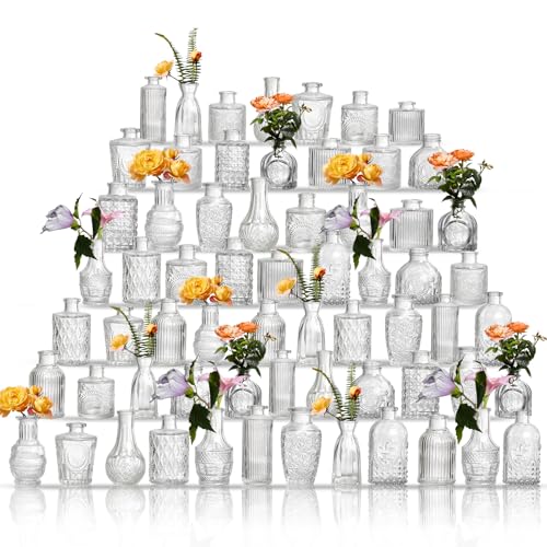 ODCYWM Clear Glass Bud Vases Set of 64 - Small Vintage Flower Centerpieces