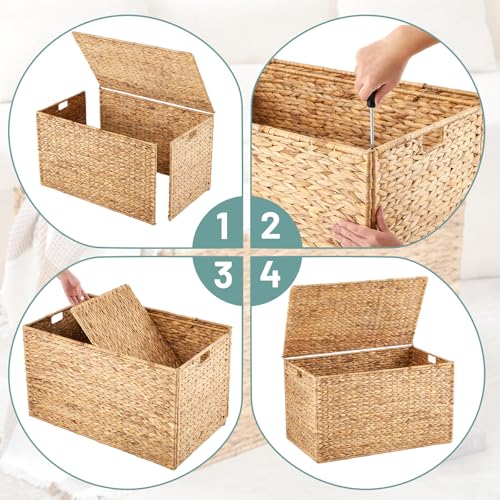 Water Hyacinth Storage Trunk - Large Wicker Chest for Home Organization
