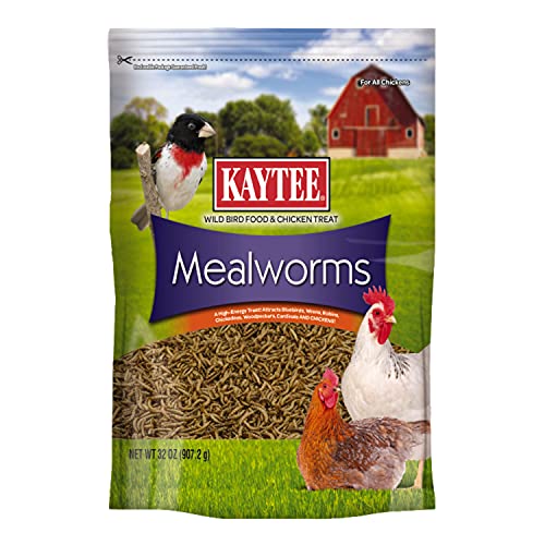Kaytee Wild Bird Food Mealworms 2 Pound Pack | High-Protein Bird Attractant