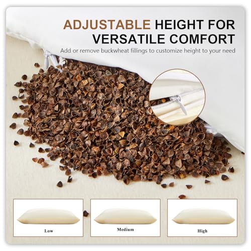 Organic Buckwheat Pillow 20x26 Inches with Adjustable Support and Cotton Case - Off White Variation 01