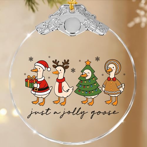 Mvxopqu Funny Goose Ornament 2025 for Christmas Tree - Duck Keepsake Gift for Goose Lovers, Women & Girls, One Size