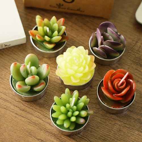 AIXIANG 6 Styles Succulent Tealight Candles Gifts for Home Decor,Mothers' Day, Halloween, Thanksgiving, Christmas