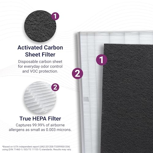 Winix Genuine Replacement Filter S (Model1712-0096-00) for C545 Air