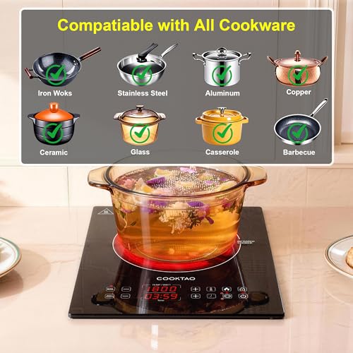 Cooktao 12 Inch Single Burner Electric Hot Plate 1800W Infrared Cooking Stove with Temperature & Wattage Control