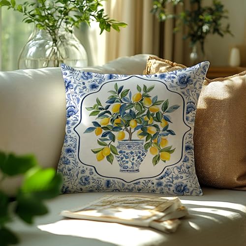 BUJSP Chinoiserie Lemon Double-Sided 18x18 Floral Pillow Cover - Seasonal Blue/White