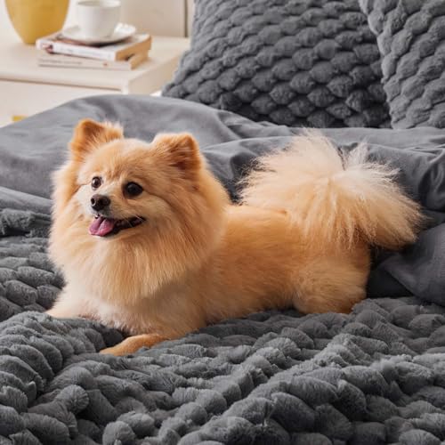 BEDELITE Fluffy Queen Comforter Set, Dark Grey Fleece Bed Set 3 Pieces