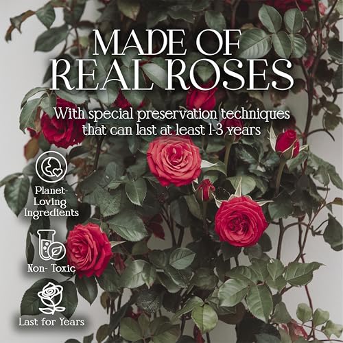 16 Red Preserved Roses Heart Box Gift for Her Wife Mom - Everlasting Flowers