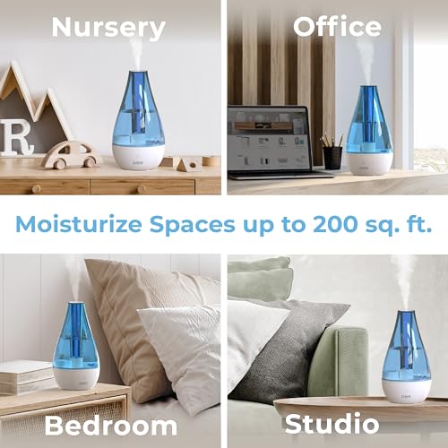Pure Enrichment MistAire Studio Small Ultrasonic Cool Mist Humidifier with Night Light