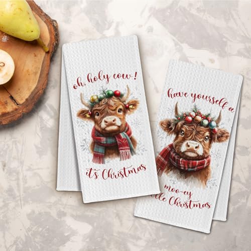 ChissNook Winter Highland Cow Christmas Kitchen Towels Set of 2 - 16x24 Inches