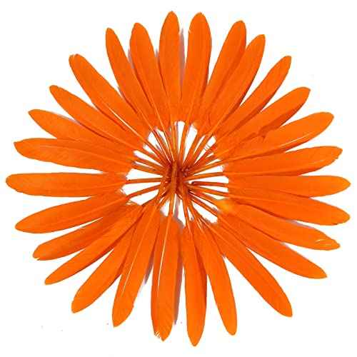 FeelfunFeather 120pcs Orange Goose Cochettes Feather Natural Bulk 4-6 inch 10-15cm for Wedding Party Christmas Halloween Decorations DIY Crafts Goose Cochettes Feather