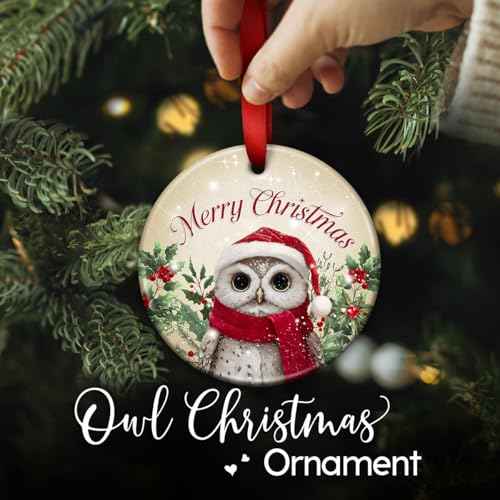 Owl Christmas Ornament 2025 ? Adorable Animal Christmas Tree Decoration, Holiday Keepsake Gift for Kids, Festive Owl Xmas Tree Decor, Winter Gift Ideas for Animal Lovers, Friends and Family