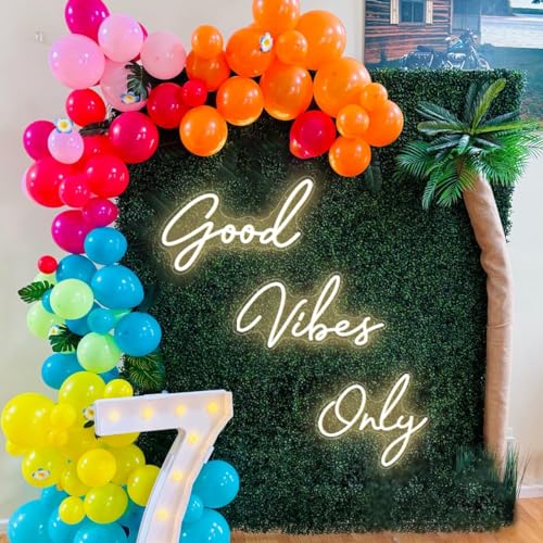 Warm White Good Vibes Only Neon Sign Dimmable LED Light with ON/OFF Switch for Home Gym Bar Party