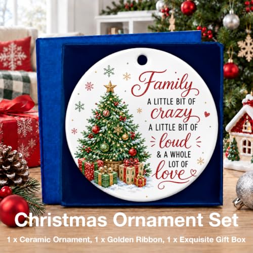 Funny Family Christmas Ornaments Gifts for Mom Dad Sister Brother