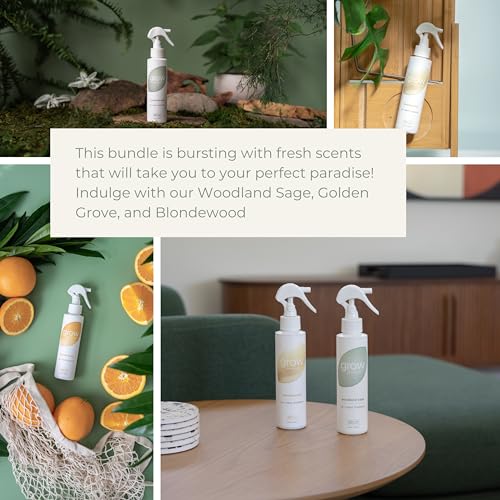 Plant-Based Air Freshener Spray Set - 3 Scents: Golden Grove, Woodland Sage & Blondewood, 5 oz Each