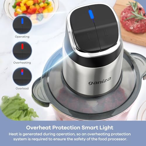 Ganiza Food Processor with Dual Bowls - 2-Speed Meat & Vegetable Chopper - Silver