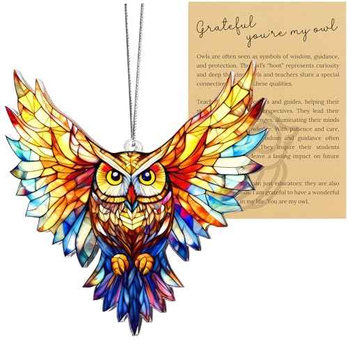 Owl Christmas Ornaments 2025, Owl Gifts for Women Men, Owls Christmas Tree Ornament Hanging for Tree, Window, Gift Exchange Ideas, Holidays Decor for Owls Lovers, Teacher Appreciation Gifts